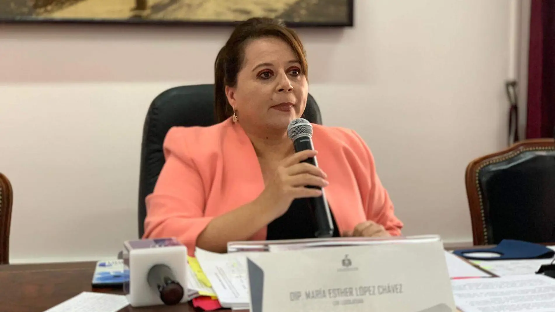 diputada María Esther López Chávez